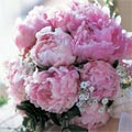 florist